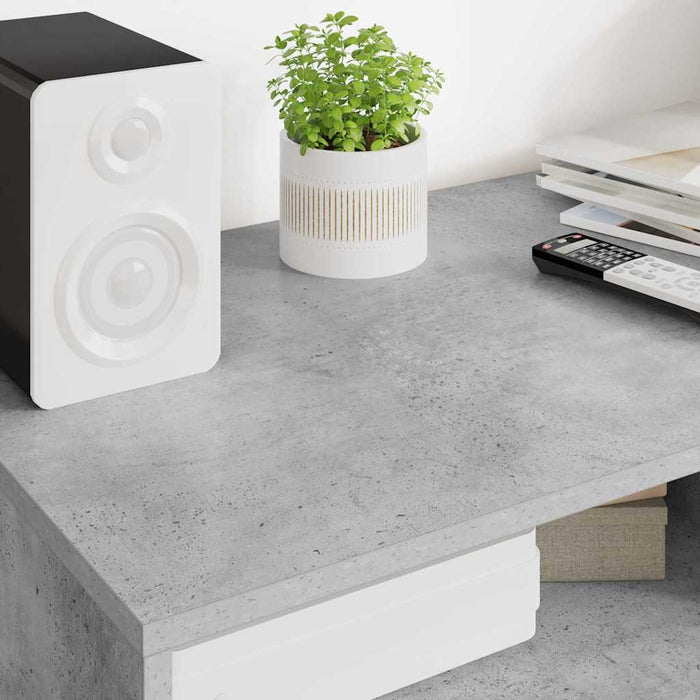 Cabinet TV Gri din beton 100 x 48 x 43 cm Lemn compozit - WALTI WALTI