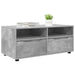 Cabinet TV Gri din beton 100 x 48 x 43 cm Lemn compozit - WALTI WALTI