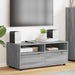 Cabinet TV cu sertar Gri Sonoma 100 x 48 x 43 cm Lemn compozit - WALTI WALTI