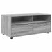 Cabinet TV cu sertar Gri Sonoma 100 x 48 x 43 cm Lemn compozit - WALTI WALTI