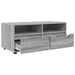 Cabinet TV cu sertar Gri Sonoma 100 x 48 x 43 cm Lemn compozit - WALTI WALTI