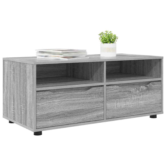 Cabinet TV cu sertar Gri Sonoma 100 x 48 x 43 cm Lemn compozit - WALTI WALTI