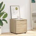 Dulap de Baie Stejar Sonoma 40,5 x 40 x 44 cm Lemn compozit - WALTI WALTI