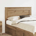 Tăblie cap cu headboard Stejar Artizanal 120 cm Lemn compozit - WALTI WALTI
