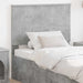 Tăblie cap cu headboard Gri din beton 100 cm Lemn compozit - WALTI WALTI
