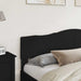 Tăblie cap cu headboard Stejar Negru 200 cm Lemn compozit - WALTI WALTI