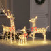 Familia Renilor cu 300 LED 3 pcs Alb cald 67 x 26 x 127 cm PET - WALTI WALTI