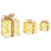 Cutie cadou cu 60 LED 3 pcs Alb cald 20 x 20 x 20 cm PET - WALTI WALTI