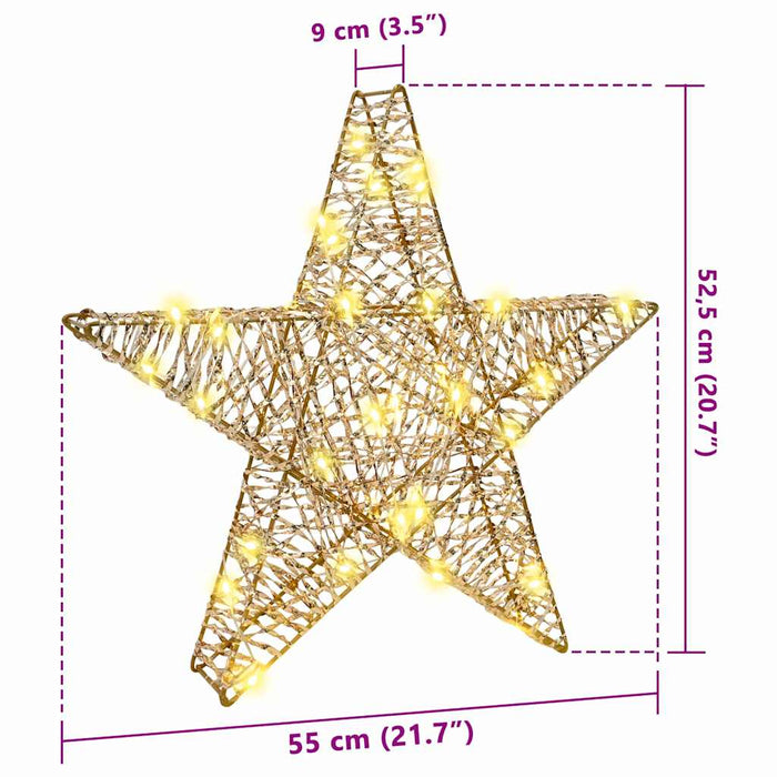 Stea 3D cu 50 LED Alb cald 55 x 52.5 x 9 cm PET - WALTI WALTI