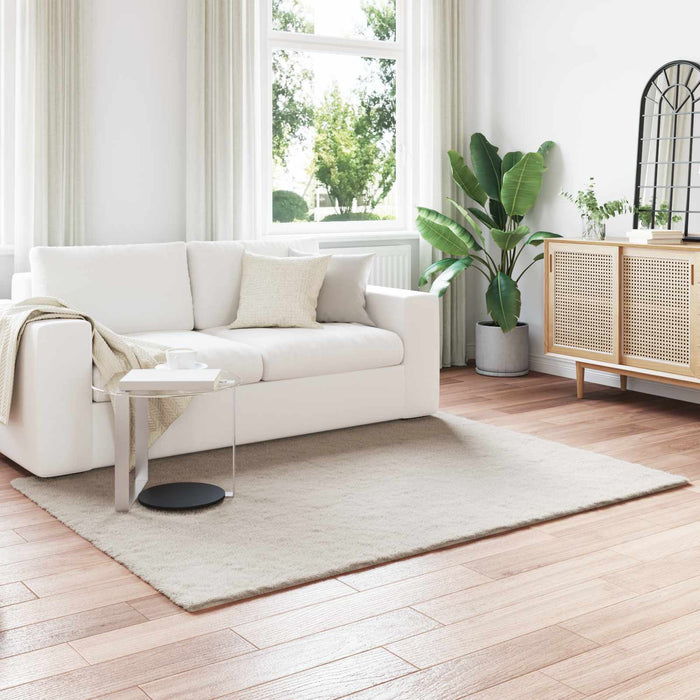 Covor din Blană Faux de Iepure Olite Bej 120 x 170 cm Poliester - WALTI WALTI