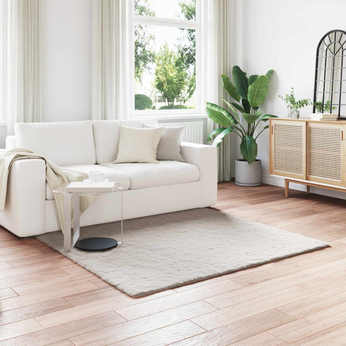 Covor din Blană Faux de Iepure Olite Bej 120 x 120 cm Poliester - WALTI WALTI