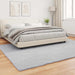 Covor din Blană Faux de Iepure Olite Gri 200 x 280 cm Poliester - WALTI WALTI