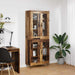 Bufet Lemn Vechi 69,5 x 34 x 180 cm Lemn compozit - WALTI WALTI