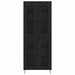 Bufet Stejar Negru 69,5 x 34 x 180 cm Lemn compozit - WALTI WALTI