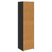 Dulap Stejar Negru 50 x 41 x 185 cm Lemn compozit - WALTI WALTI