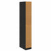 Dulap cu raft Stejar Negru 50 x 30 x 200 cm Lemn compozit - WALTI WALTI