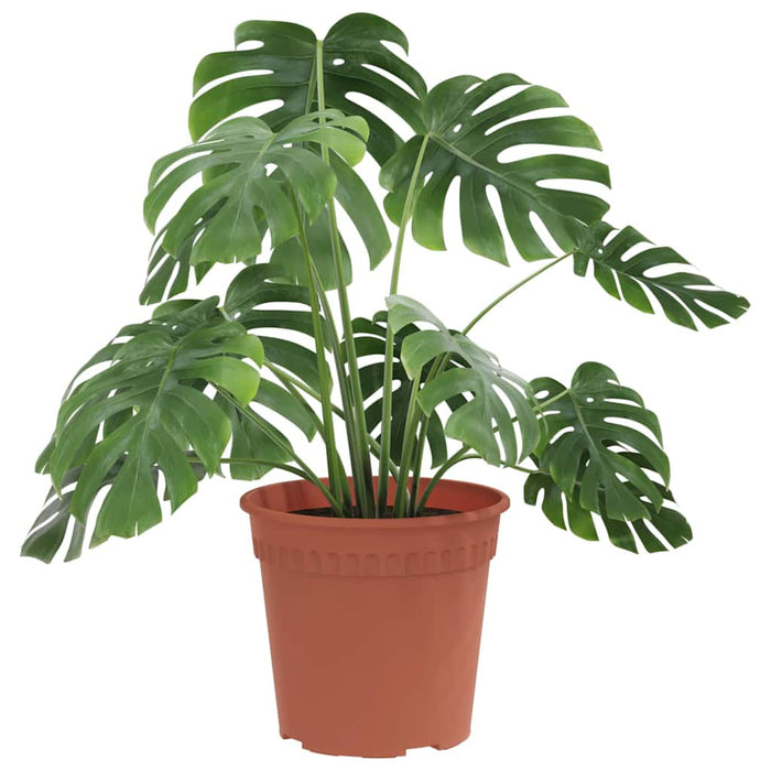 Ghiveci rotund pentru flori 6 pcs Roșu cărămidă Ø 19 x 16 cm - WALTI WALTI
