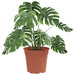 Ghiveci rotund pentru flori 6 pcs Roșu cărămidă Ø 19 x 16 cm - WALTI WALTI