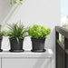 Ghiveci rotund pentru flori 6 pcs Negru Ø 15 x 12 cm Plastic - WALTI WALTI