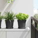 Ghiveci rotund pentru flori 6 pcs Negru Ø 19 x 16 cm Plastic - WALTI WALTI