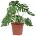 Ghiveci rotund pentru flori 24 pcs Roșu cărămidă Ø 12,5 x 10 cm - WALTI WALTI