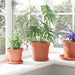 Ghiveci rotund pentru flori 24 pcs Roșu cărămidă Ø 19 x 16 cm - WALTI WALTI