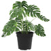 Ghiveci rotund pentru flori 24 pcs Negru Ø 19 x 16 cm Plastic - WALTI WALTI