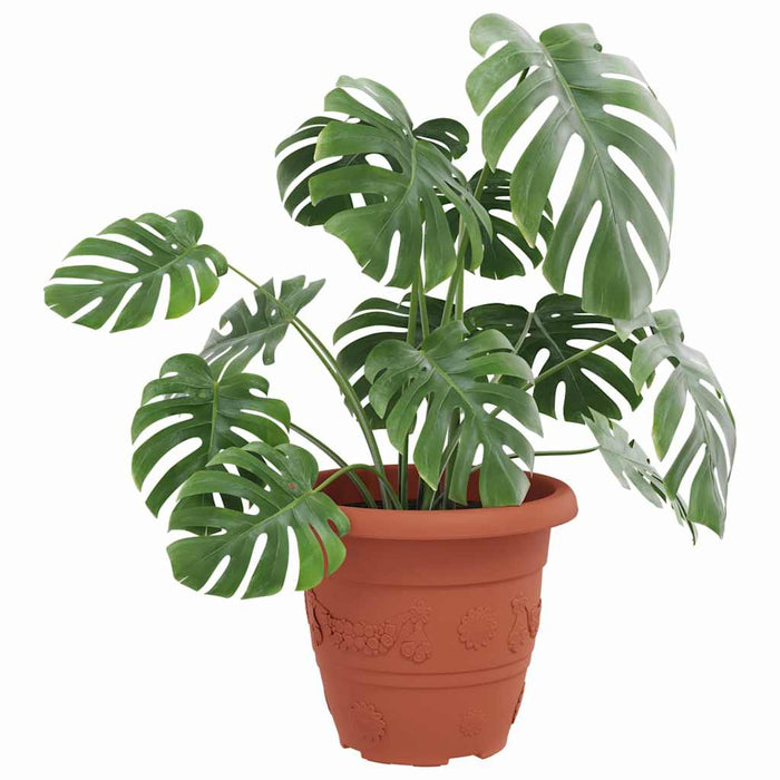 Ghiveci rotund pentru flori 6 pcs Roșu cărămidă Ø 26 x 21.5 cm - WALTI WALTI