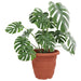 Ghiveci rotund pentru flori 6 pcs Roșu cărămidă Ø 26 x 21.5 cm - WALTI WALTI