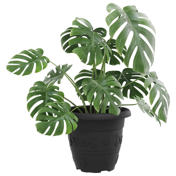 Ghiveci rotund pentru flori 6 pcs Negru Ø 26 x 21.5 cm Plastic - WALTI WALTI