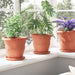 Ghiveci rotund pentru flori 24 pcs Roșu cărămidă Ø 26 x 21.5 cm - WALTI WALTI