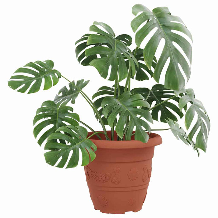 Ghiveci rotund pentru flori 24 pcs Roșu cărămidă Ø 26 x 21.5 cm - WALTI WALTI