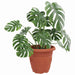 Ghiveci rotund pentru flori 24 pcs Roșu cărămidă Ø 26 x 21.5 cm - WALTI WALTI