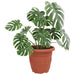 Ghiveci rotund pentru flori 24 pcs Roșu cărămidă Ø 26 x 21.5 cm - WALTI WALTI