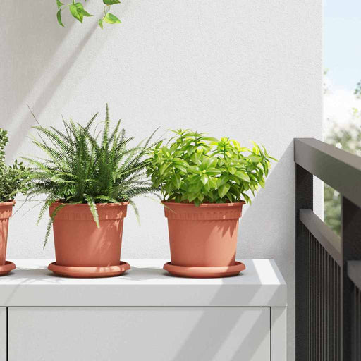 Tavă rotundă pentru flori 6 pcs Roșu cărămidă Ø 14 x 2 cm - WALTI WALTI