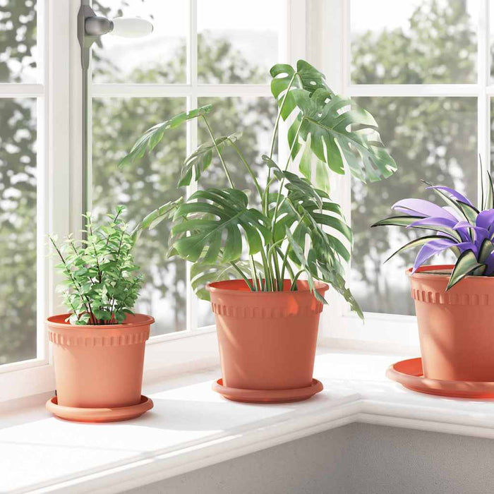 Tavă rotundă pentru flori 6 pcs Roșu cărămidă Ø 14 x 2 cm - WALTI WALTI
