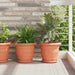 Tavă rotundă pentru flori 6 pcs Roșu cărămidă Ø 21,5 x 2,5 cm - WALTI WALTI
