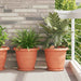 Tavă rotundă pentru flori 6 pcs Roșu cărămidă Ø 27 x 2,5 cm - WALTI WALTI