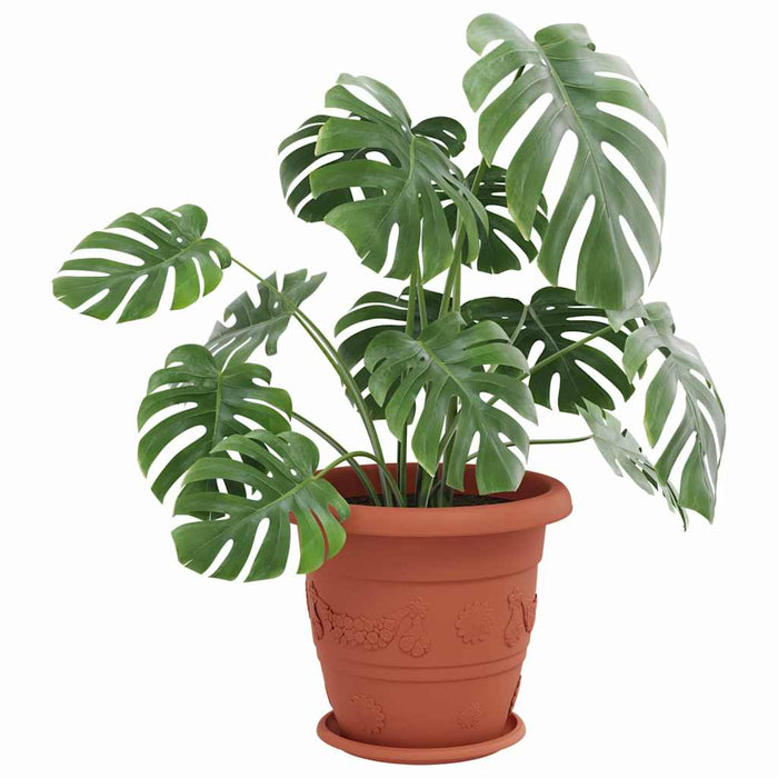 Tavă rotundă pentru flori 6 pcs Roșu cărămidă Ø 27 x 2,5 cm - WALTI WALTI