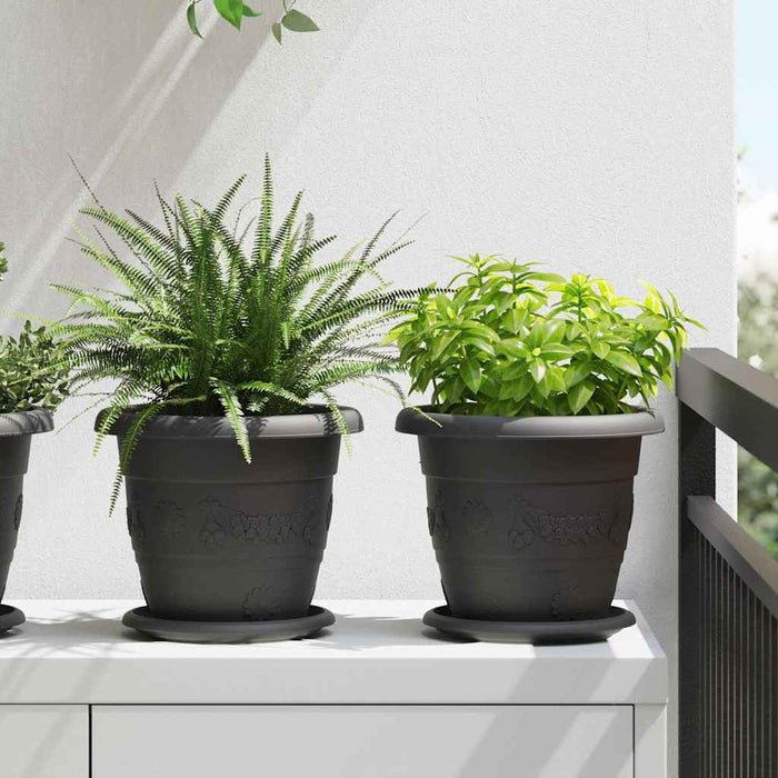 Tavă rotundă pentru flori 6 pcs Negru Ø 17,5 x 2 cm Plastic - WALTI WALTI