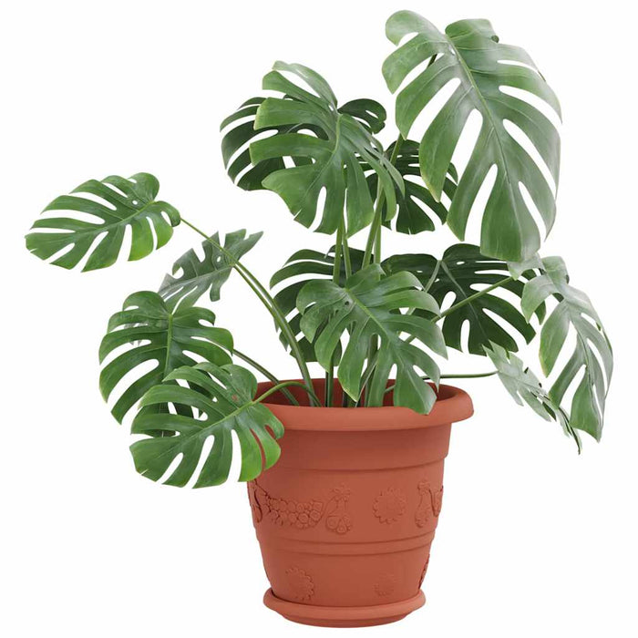 Tavă rotundă pentru flori 24 pcs Roșu cărămidă Ø 14 x 2 cm - WALTI WALTI