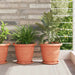 Tavă rotundă pentru flori 24 pcs Roșu cărămidă Ø 14 x 2 cm - WALTI WALTI