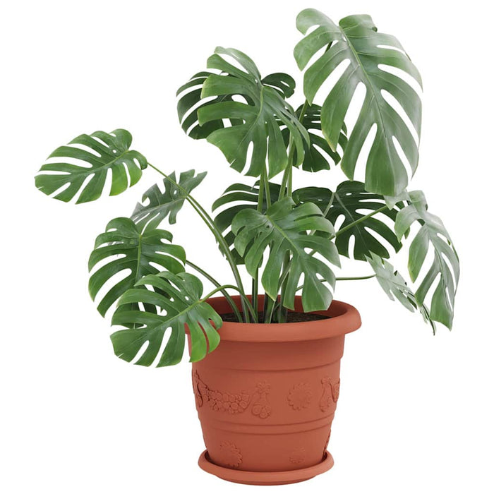 Tavă rotundă pentru flori 24 pcs Roșu cărămidă Ø 21,5 x 2,5 cm - WALTI WALTI