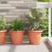 Tavă rotundă pentru flori 24 pcs Roșu cărămidă Ø 23,5 x 2,5 cm - WALTI WALTI