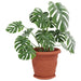 Tavă rotundă pentru flori 24 pcs Roșu cărămidă Ø 23,5 x 2,5 cm - WALTI WALTI