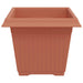Vază pătrată pentru flori 6 pcs Roșu cărămidă Plastic - WALTI WALTI