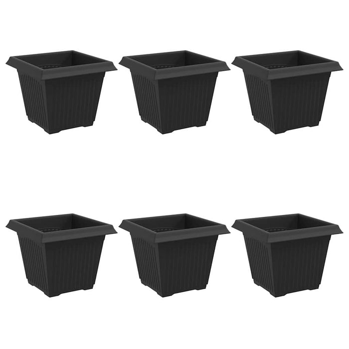 Vază pătrată pentru flori 6 pcs Negru 20 x 20 x 16 cm Plastic - WALTI WALTI