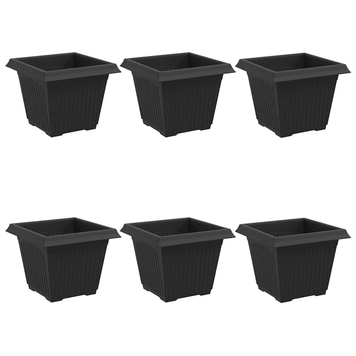 Vază pătrată pentru flori 6 pcs Negru 33 x 33 x 26 cm Plastic - WALTI WALTI