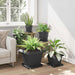 Vază pătrată pentru flori 6 pcs Negru 38 x 38 x 30 cm Plastic - WALTI WALTI