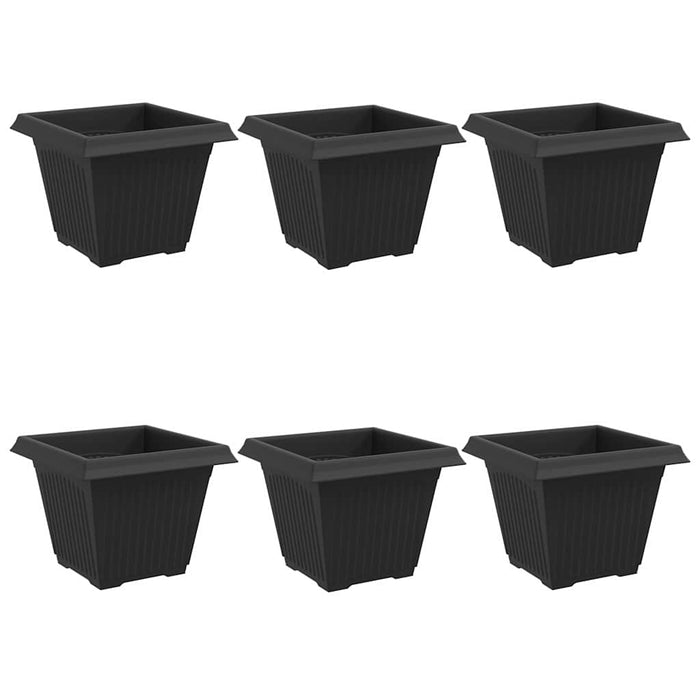 Vază pătrată pentru flori 6 pcs Negru 38 x 38 x 30 cm Plastic - WALTI WALTI